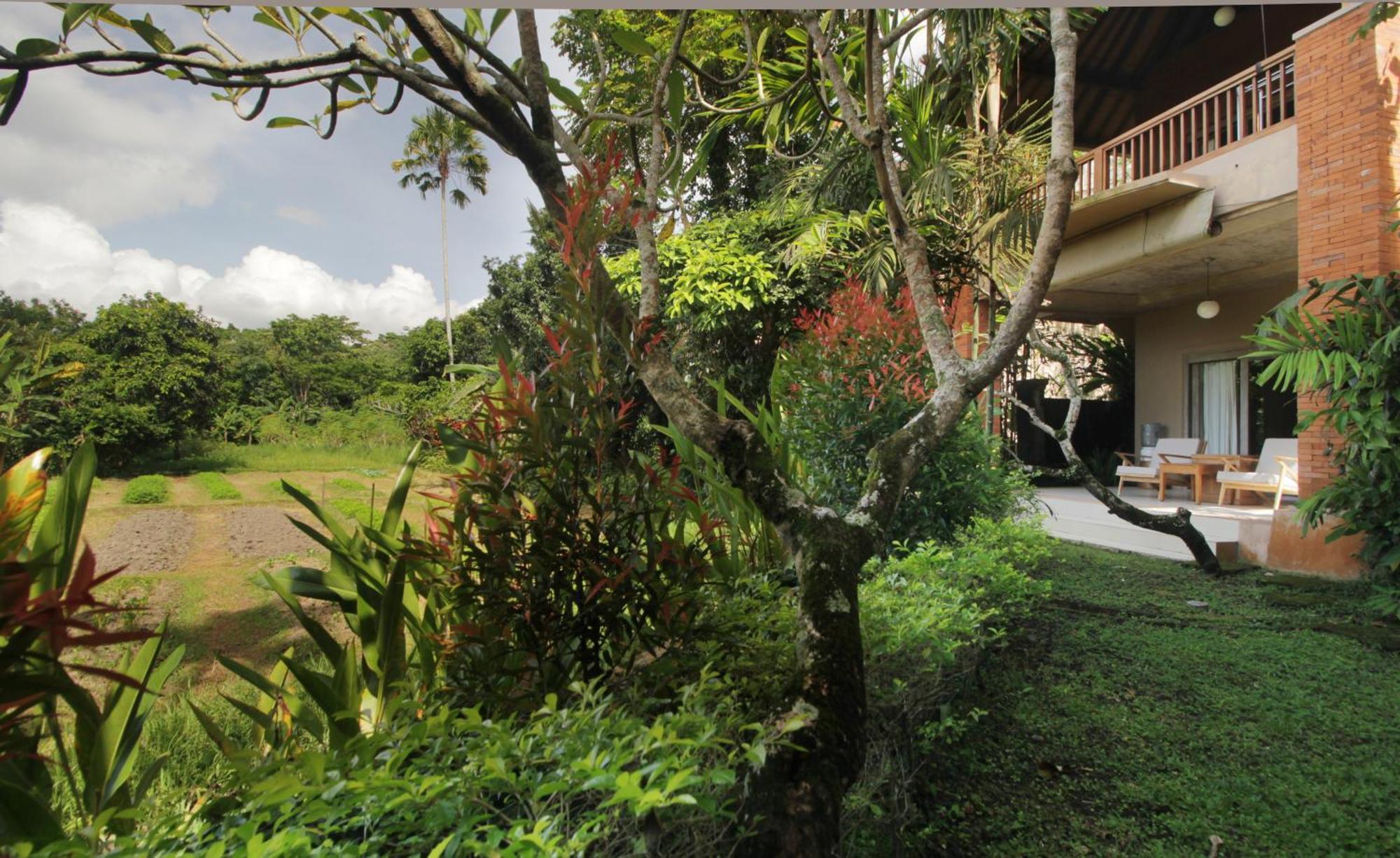 Pensão Tegal Sari Ubud
